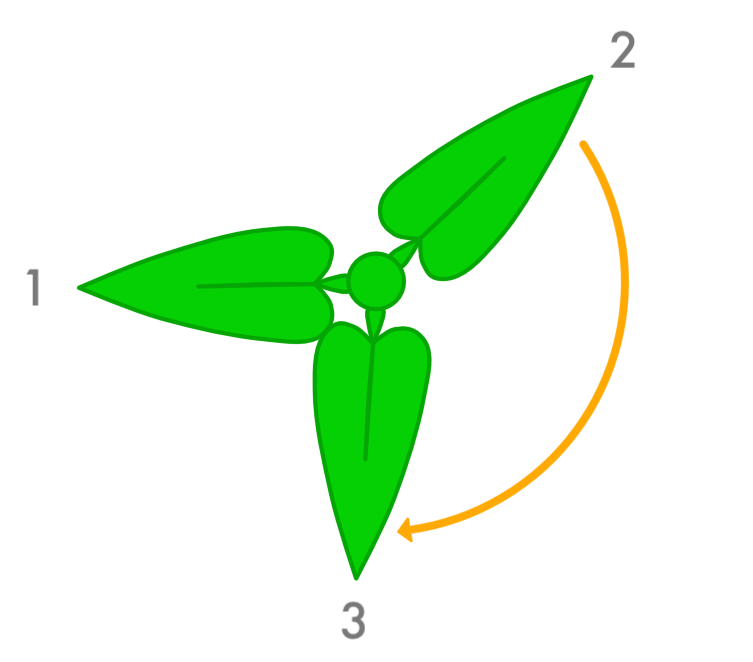 Leaf Growth 3